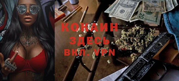 гидра Белоозёрский