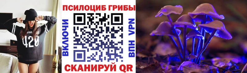 сколько стоит  Ялта  Псилоцибиновые грибы мухоморы 